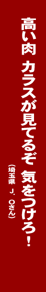キャンプ・アウトドア川柳