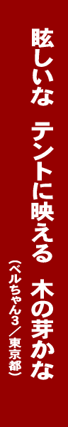 キャンプ・アウトドア川柳