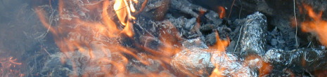 �H���I�����t���I�ăC���ނ肾�`�I