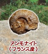 AiCgitXYj