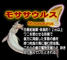 {̃AiCg̉΂邩!?