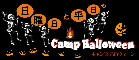 �L�����v�E�n���E�B�[���I�T���Q���ԃv���O����